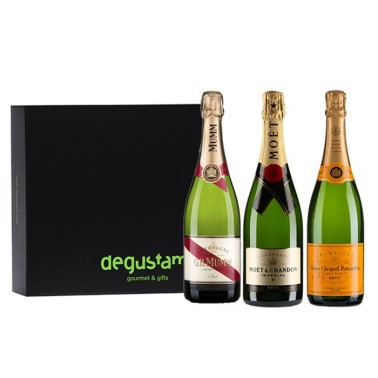 Estuche con Trio de Champagnes